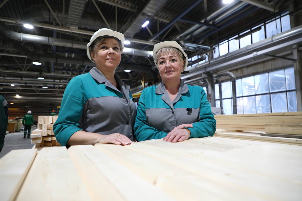 Вологодская область превысила прошлогодний объем производства лесопродукции по итогам первого квартала 2024 года.