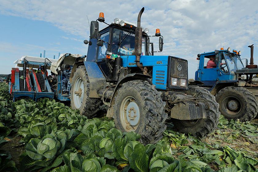 В регионе подходит к завершению  кормозаготовка и уборка урожая В регионе подходит к завершению  кормозаготовка и уборка урожая.
