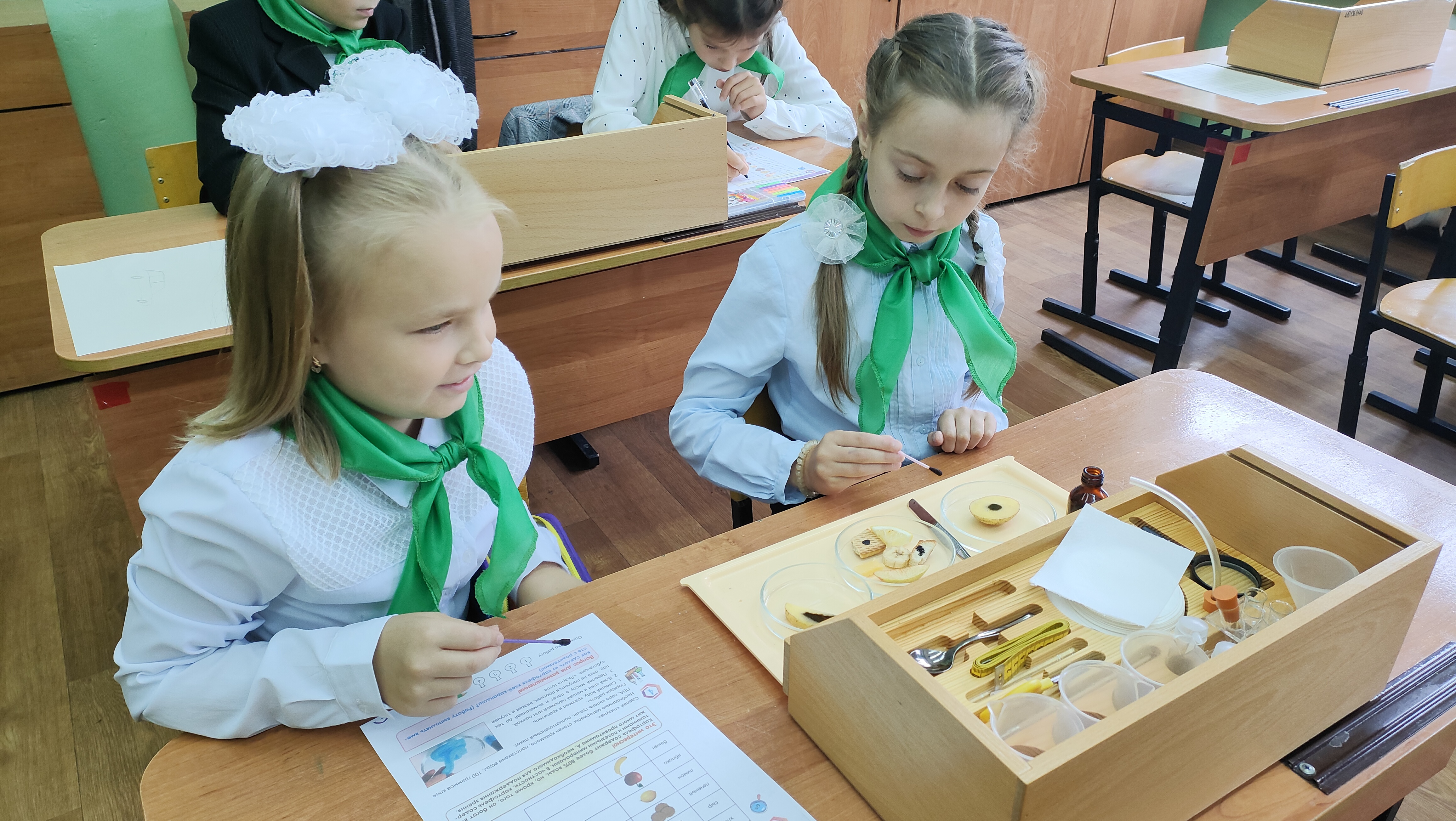 В школах Вологодской области откроют агроклассы и лесные классы.