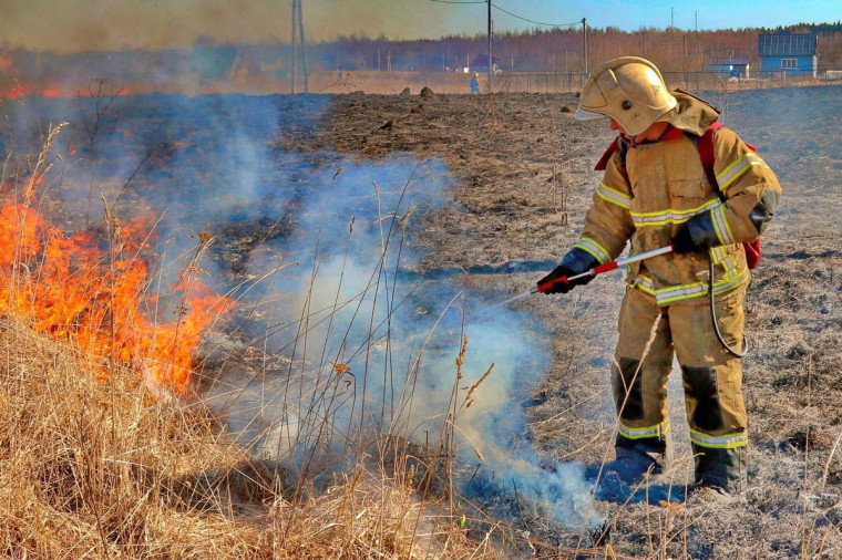 Пожароопасный сезон открыт в 66 регионах России.