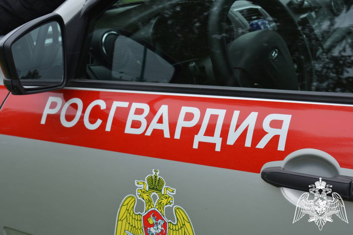 Правительство Вологодской области передаст 9 автомобилей в собственность Росгвардии и УМВД .