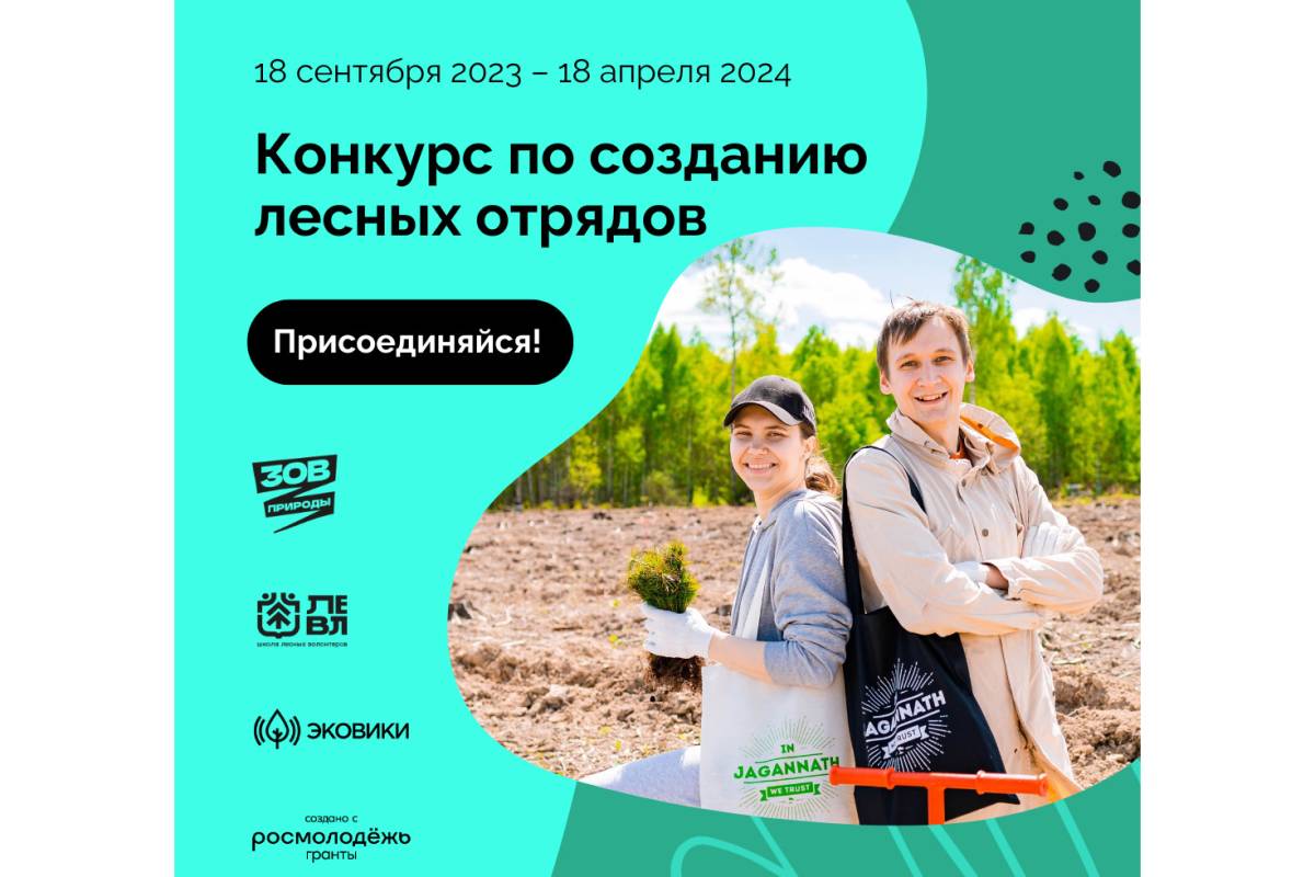 Сообщества лесных волонтеров Вологодчины приглашают к участию в новом конкурсе.