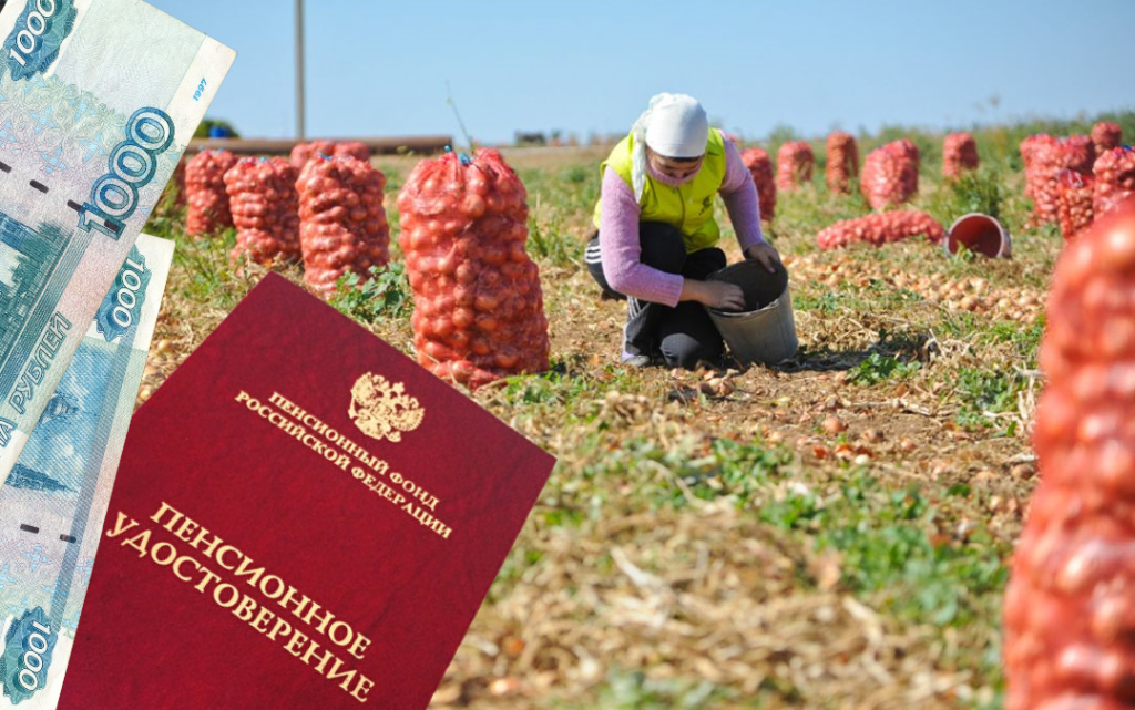 Более 7,5 тысяч вологжан получают доплату к пенсии   за работу в сельском хозяйстве                                    .