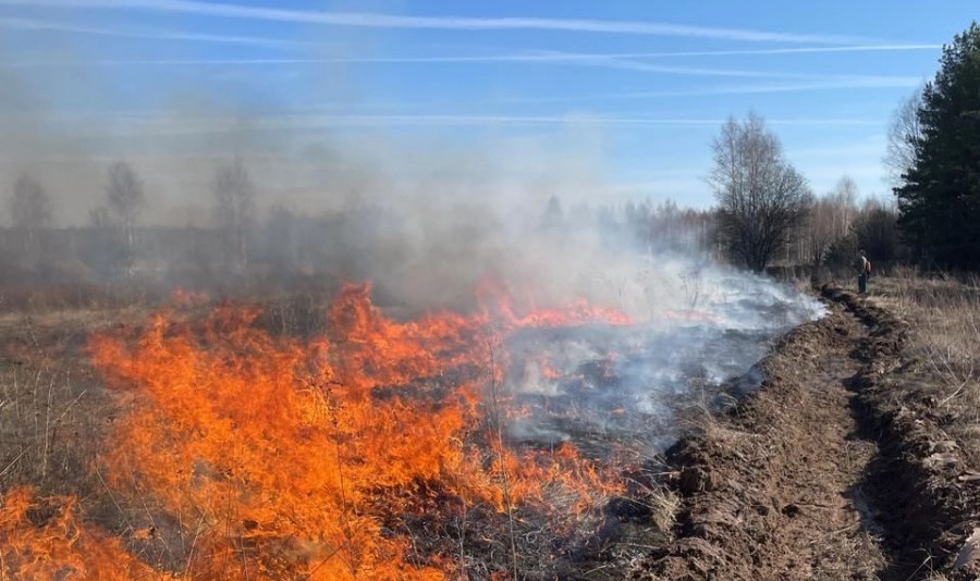 В Вологодской области в конце апреля начнётся пожароопасный сезон   .