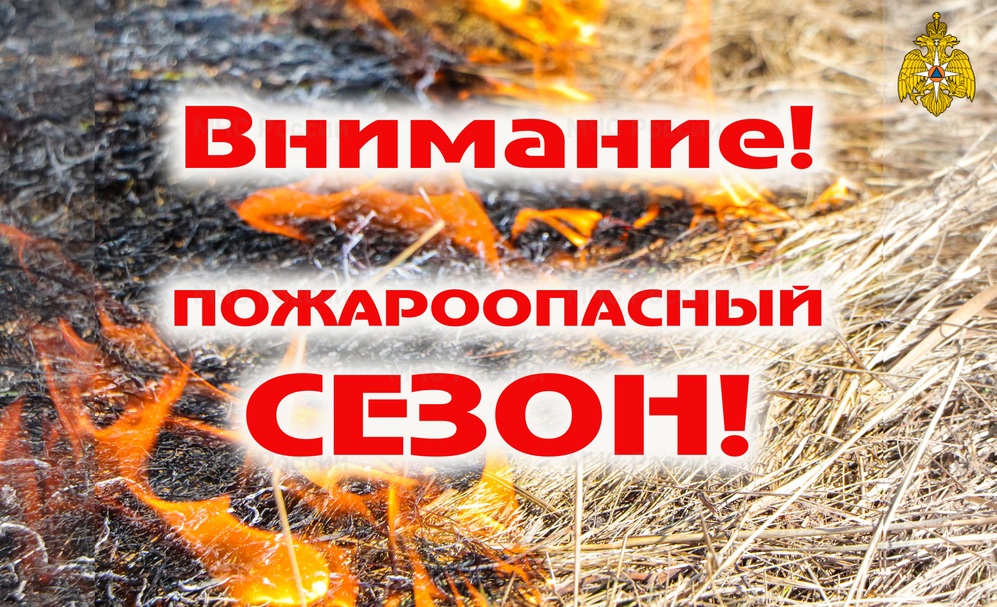 В Вологодской области стартовал пожароопасный сезон  .
