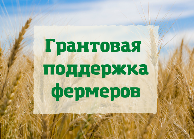 В Вологодской области можно подать документы для участия в грантовом конкурсе "Агростартап".